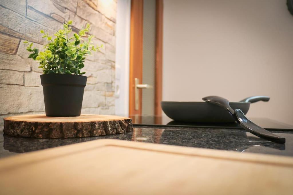 Apartement Nathalie - Wellness Mit Pool Und Sauna Шлухзе Екстер'єр фото